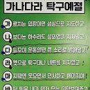 조치원탁구교실