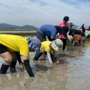 순천인안초등학교 이미지