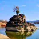 지수초등학교 이미지