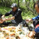 신록1로 이미지