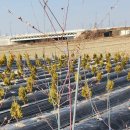 서경농장 이미지