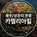 상창리-4 이미지