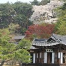경성연립 | 한국의 집 구조와 주거문화의 변천사