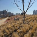 신제제2근린공원 | 대전 용전근린공원 산책 후기｜전망대·강아지 산책·꿈돌이 포토존까지