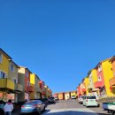 소락스위스 이미지