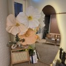 배다리어린이집 | 소사벌 카페거리 카페미니 내돈내산