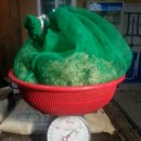 명산차민박 이미지