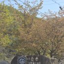 용운초 | 수도권 근교 아이와 함께 가기 좋은 파주 시즌온캠핑장 다녀온 후기입니다.