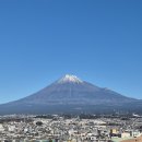 제주백 | 시즈오카 항공권 할인 가격 비교 제주항공 직항 모바일체크인 셀프백드랍 후기
