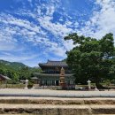 축제(동양화) 이미지