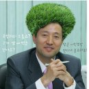 오잔디