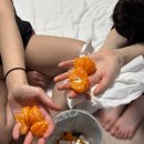 제성하우스 이미지