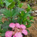 수영무도장 이미지