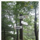 식물원주유소 이미지