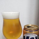 맥스(MAX)비어 이미지