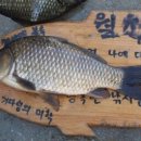 더 대박PC 이미지