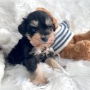 균영농장 이미지