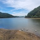 산자락에 이미지