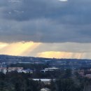 메이플스테이 애월 이미지