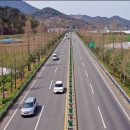 밀양대로 이미지