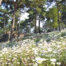 신기십장생마을 이미지