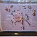 남사고기 이미지