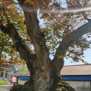 상곡보건진료소 이미지