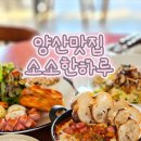 소소한하루 | 양산 물금 브런치 맛집 소소한하루｜트러플풍기크림파스타 후기