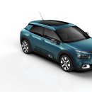 칵투스 아일랜드 이미지