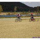 뚝길따라 이미지