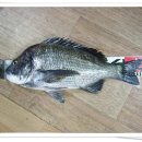 임곡1리 이미지