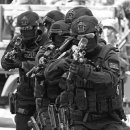 팀크레모아 이미지