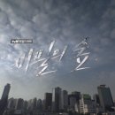 🌳 tvN 드라마 [비밀의 숲] 달글 🌳 이미지