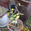 놀부농장 이미지