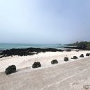 애월한담해안산책로 | 제주 애월한담해안산책로 한담해변 제주 올레길 15코스 추천