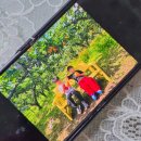 용인드림키즈어린이집 | 용인 어린이집 드림키즈 모현 포곡 둔전 다양한 놀이수업 활동