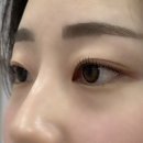 브로우돌 이미지