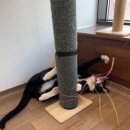 시루민박 이미지