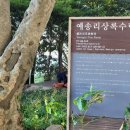 예송한옥 이미지