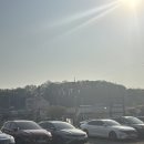 고양시 카페 다위스 애견동반 소금빵 맛집 내돈내산 후기