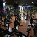 에이스스포츠센터 이미지