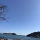 거제카페심해 매미성본점 | 거제 가볼만한곳 카페 심해 매미성 본점 내돈내산 후기