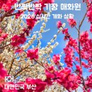 도로변(구로동로 13) | 반짝반짝 기장 매화원 후기｜주차·개화상황·방문팁 정리