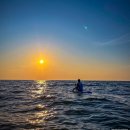 포포아일랜드 이미지