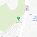 영창미트