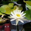 종금주유소 이미지