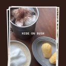 하이드온부쉬 이미지