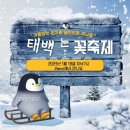 장성읍 먹거리타운 | 설원에 살고싶다 - 태백