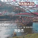 A.K HAMA | 제일 먼저 봄이 온다는 카와즈 도쿄 근교 시즈오카 소도시여행