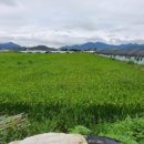 대산면 노촌마을 이미지